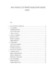 2025-2030波蘭汽車零部件行業(yè)技術(shù)升級(jí)與資金投入研究