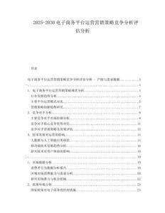 2025-2030電子商務(wù)平臺(tái)運(yùn)營(yíng)營(yíng)銷(xiāo)策略競(jìng)爭(zhēng)分析評(píng)估分析