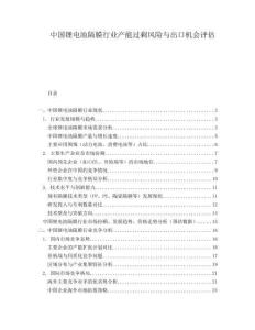 中國鋰電池隔膜行業(yè)產(chǎn)能過剩風(fēng)險與出口機會評估
