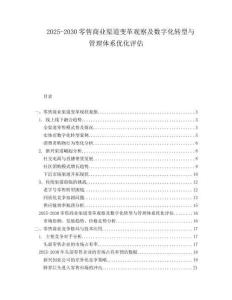 2025-2030零售商業(yè)渠道變革觀察及數(shù)字化轉(zhuǎn)型與管理體系優(yōu)化評估