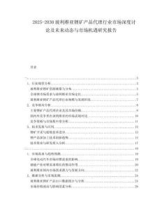 2025-2030玻利維亞鋰礦產(chǎn)品代理行業(yè)市場深度討論及未來動態(tài)與市場機遇研究報告