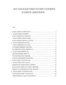 2025-2030冰島冰川旅游行業(yè)市場的立時深度探討及市場前景與旅游價值研究