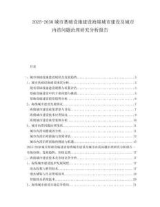 2025-2030城市基礎(chǔ)設(shè)施建設(shè)海綿城市建設(shè)及城市內(nèi)澇問題治理研究分析報告