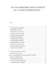 2025-2030布基納法索磷礦市場(chǎng)供需產(chǎn)業(yè)調(diào)研及全球化工企業(yè)資源開(kāi)發(fā)策略規(guī)劃分析報(bào)告
