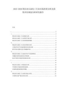 2025-2030利比亞石油化工行業(yè)市場供需分析及投資評估規(guī)劃分析研究報告