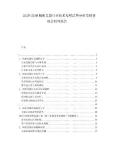 2025-2030精密儀器行業(yè)技術(shù)發(fā)展趨勢分析及投資機(jī)會(huì)研判報(bào)告