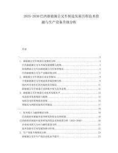 2025-2030巴西新能源公交車制造發(fā)展歷程技術(shù)投融與生產(chǎn)設(shè)備升級分析