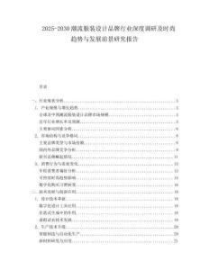 2025-2030潮流服裝設(shè)計(jì)品牌行業(yè)深度調(diào)研及時尚趨勢與發(fā)展前景研究報(bào)告