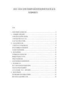 2025-2030比特幣族群風險投資趨勢研判及資金布局策略報告