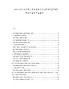 2025-2030玻利維亞旅游服務(wù)業(yè)市場(chǎng)發(fā)展現(xiàn)狀與品牌運(yùn)營(yíng)競(jìng)爭(zhēng)評(píng)估報(bào)告