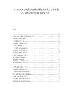 2025-2030樂高品牌全球市場運營現狀與品牌形象建設調查評估推廣規(guī)劃研究文檔