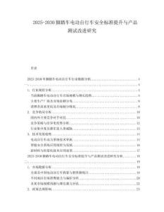 2025-2030腳踏車電動自行車安全標準提升與產(chǎn)品測試改進研究