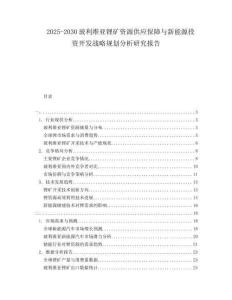2025-2030玻利維亞鋰礦資源供應(yīng)保障與新能源投資開發(fā)戰(zhàn)略規(guī)劃分析研究報(bào)告