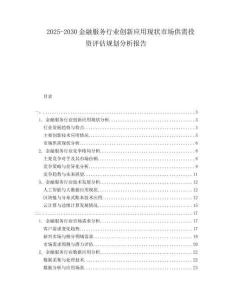 2025-2030金融服務(wù)行業(yè)創(chuàng)新應(yīng)用現(xiàn)狀市場供需投資評估規(guī)劃分析報告