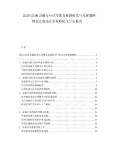 2025-2030金融行業(yè)信用體系建設(shè)研究與發(fā)展策略規(guī)劃及市場(chǎng)競(jìng)爭(zhēng)策略優(yōu)化分析報(bào)告