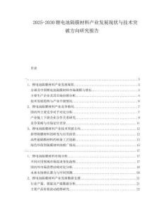 2025-2030鋰電池隔膜材料產業(yè)發(fā)展現(xiàn)狀與技術突破方向研究報告