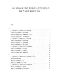 2025-2030金融科技行業(yè)區(qū)塊鏈技術(shù)應(yīng)用分析及市場(chǎng)潛力與投資策略研究報(bào)告