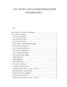 2025-2030量子計算行業(yè)市場深度調(diào)研及發(fā)展趨勢與投資戰(zhàn)略研究報告