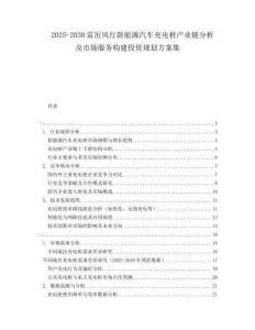 2025-2030雷厲風(fēng)行新能源汽車充電樁產(chǎn)業(yè)鏈分析及市場服務(wù)構(gòu)建投資規(guī)劃方案集