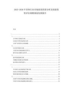 2025-2030半導(dǎo)體行業(yè)市場前景供需分析及創(chuàng)新投資評估規(guī)模規(guī)劃發(fā)展報告