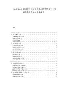 2025-2030籃球鞋行業(yè)技術(shù)創(chuàng)新品牌營銷分析與發(fā)展資金投資評估方案報告