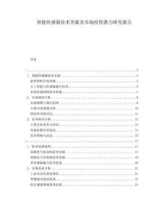 智能傳感器技術(shù)突破及市場投資潛力研究報告