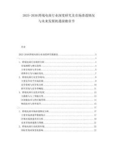 2025-2030跨境電商行業(yè)深度研究及市場滲透情況與未來發(fā)展機遇前瞻章節(jié)