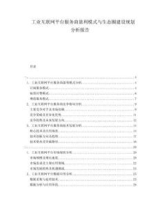 工業(yè)互聯(lián)網(wǎng)平臺服務(wù)商盈利模式與生態(tài)圈建設(shè)規(guī)劃分析報告
