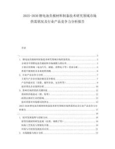 2025-2030鋰電池負(fù)極材料制備技術(shù)研究領(lǐng)域市場供需狀況及行業(yè)產(chǎn)品競爭力分析報告