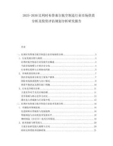 2025-2030比利時(shí)布魯塞爾航空制造行業(yè)市場供需分析及投資評估規(guī)劃分析研究報(bào)告