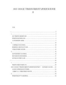 2025-2030波蘭物流供應(yīng)鏈轉(zhuǎn)型與跨境貿(mào)易效率提升