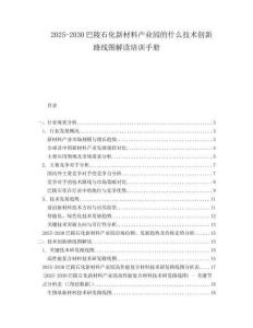 2025-2030巴陵石化新材料產(chǎn)業(yè)園的什么技術(shù)創(chuàng)新路線圖解讀培訓手冊