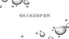 殘疾人權(quán)益保護(hù)案例