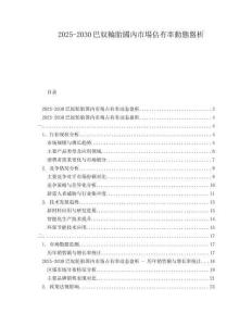 2025-2030巴奴輪胎國(guó)內(nèi)市場(chǎng)佔(zhàn)有率動(dòng)態(tài)盤析