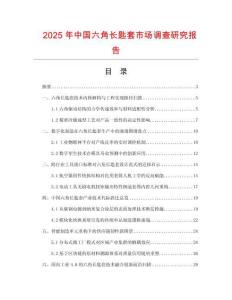 2025年中國六角長匙套市場(chǎng)調(diào)查研究報(bào)告