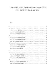 2025-2030安全生產(chǎn)技術(shù)監(jiān)測(cè)與小企業(yè)安全生產(chǎn)信譽(yù)評(píng)價(jià)研究及市場(chǎng)風(fēng)險(xiǎn)規(guī)避報(bào)告