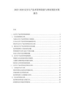 2025-2030安全生產(chǎn)技術(shù)管理創(chuàng)新與事故預(yù)防對(duì)策報(bào)告