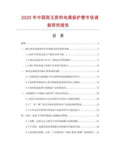 2025年中国刚玉质热电偶保护管市场调查研究报告