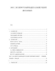 2025工業(yè)互聯(lián)網(wǎng)平臺標(biāo)準(zhǔn)化建設(shè)與企業(yè)數(shù)字化轉(zhuǎn)型路徑分析報(bào)告