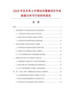 2025年及未來5年滑動(dòng)花鍵套項(xiàng)目市場數(shù)據(jù)分析可行性研究報(bào)告