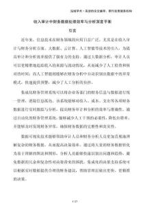 收入审计中财务数据处理效率与分析深度平衡