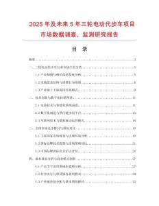 2025年及未來5年三輪電動代步車項目市場數(shù)據(jù)調(diào)查、監(jiān)測研究報告