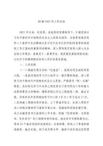 鎮(zhèn)2025年工作總結(jié)