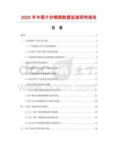2025年中國片狀銅箔數據監測研究報告