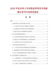 2025年及未來(lái)5年矽膠皮帶項(xiàng)目市場(chǎng)數(shù)據(jù)分析可行性研究報(bào)告