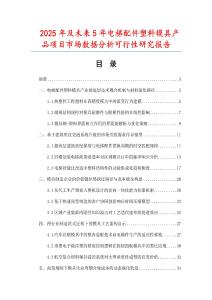 2025年及未來5年電梯配件塑料模具產(chǎn)品項(xiàng)目市場數(shù)據(jù)分析可行性研究報(bào)告