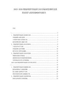 2025-2030奧地利滑雪旅游行業(yè)市場(chǎng)深度調(diào)研及投資前景與投資策略研究報(bào)告