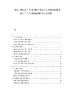 2025-2030波音民用飛機產業(yè)供應鏈管理系統(tǒng)優(yōu)化提效及產品適銷對路投資戰(zhàn)略規(guī)劃