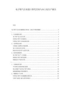 電子特氣行業(yè)進(jìn)口替代空間與本土化生產(chǎn)報(bào)告