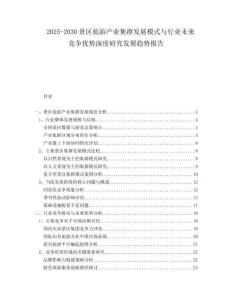 2025-2030景區(qū)旅游產(chǎn)業(yè)集群發(fā)展模式與行業(yè)未來競(jìng)爭(zhēng)優(yōu)勢(shì)深度研究發(fā)展趨勢(shì)報(bào)告